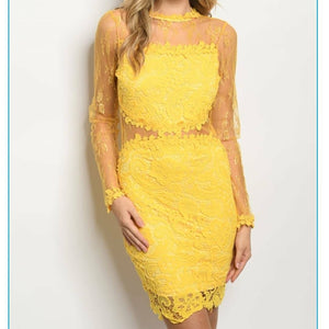 Long sleeves Cocktail lace dress